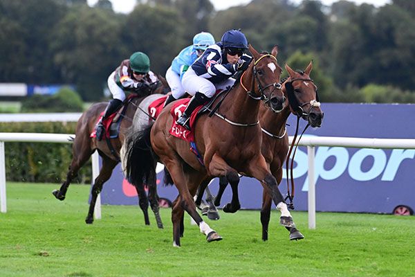 Louiescall (Teagan Padgett) winning at Leopardstown