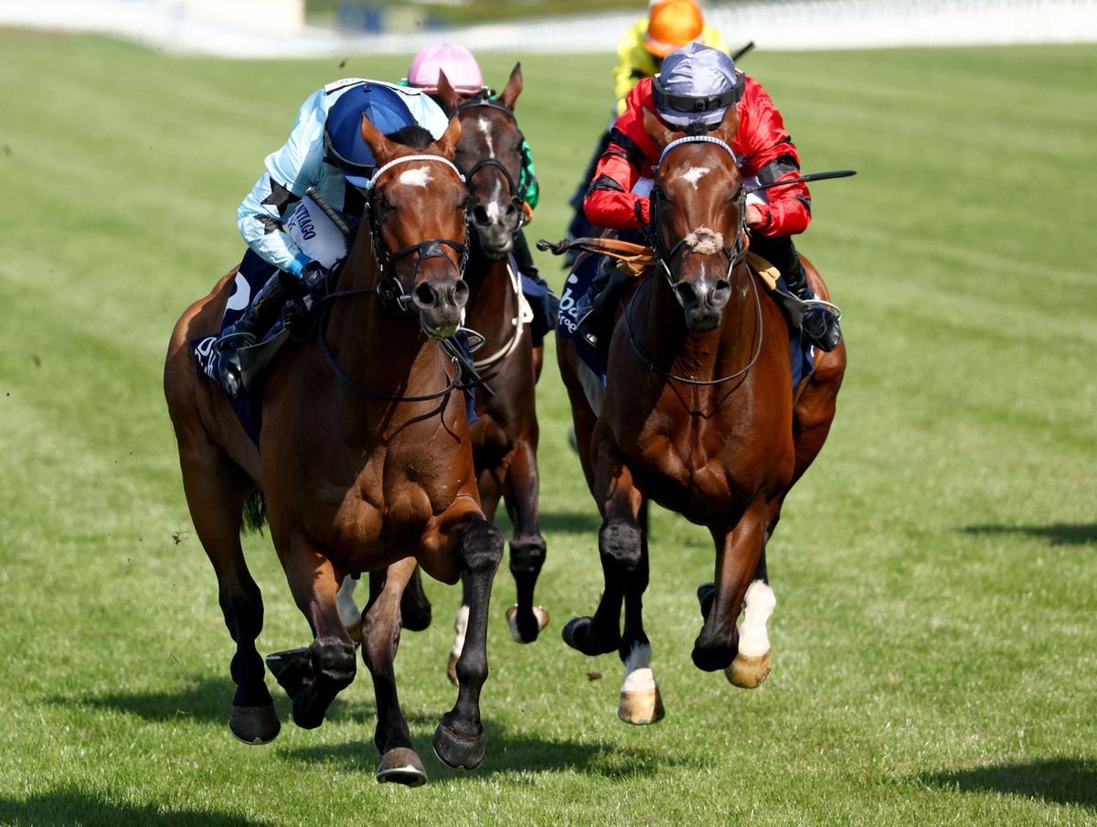 Tenability (left) and Dephine Santiago winning at Ascot