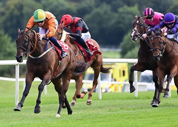 Shoot To Kill downs his rivals