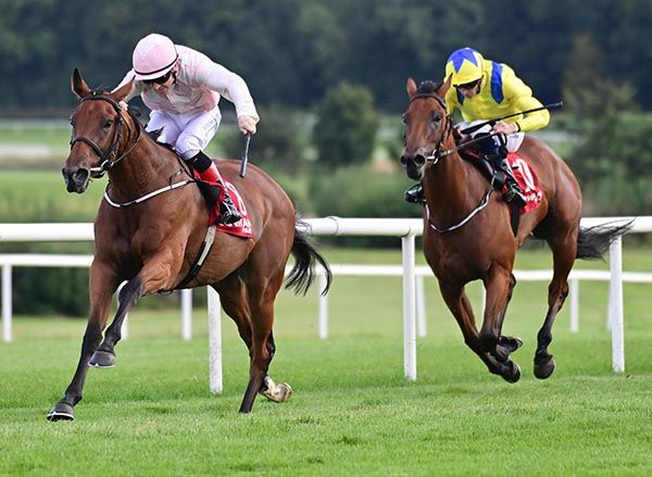 Plaza Athenee goes on from Treasure Rose