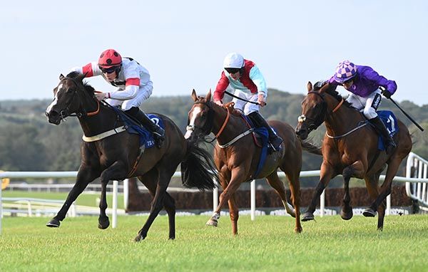 Hasten Slowly and Alex Harvey