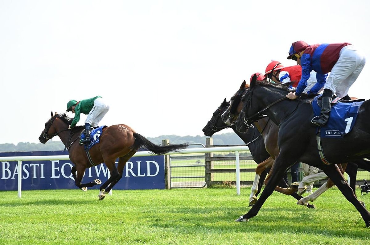 Zahrann and Ben Coen 