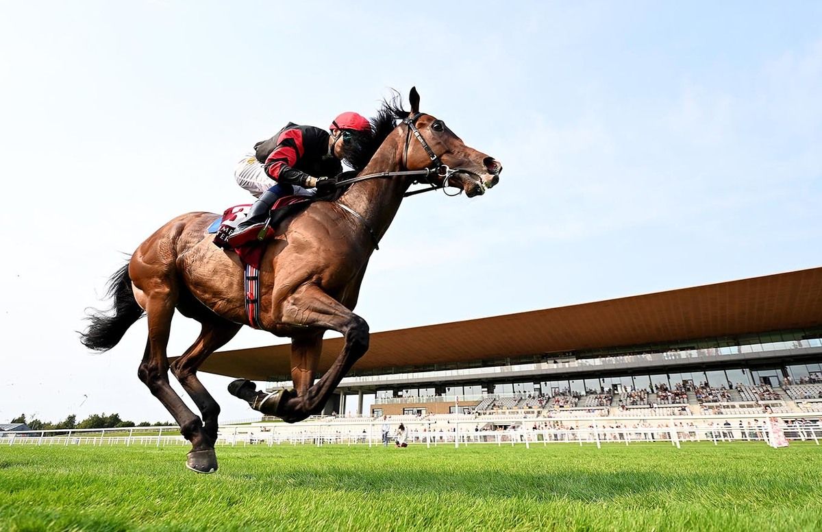 Leinster gallops home for Dylan Browne McMonagle 