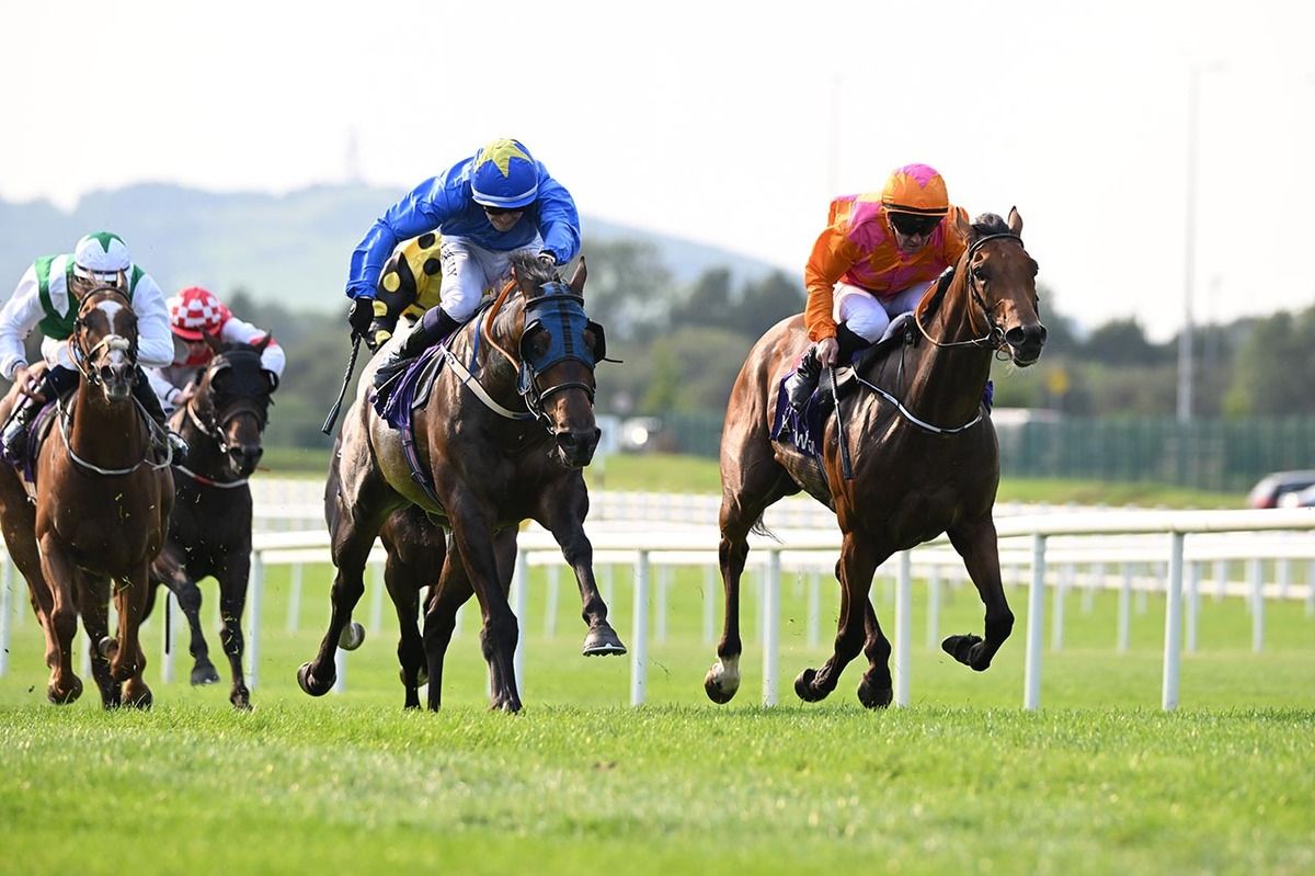 Nezeeh, blue cap with yellow star, shades Carrigans Grove