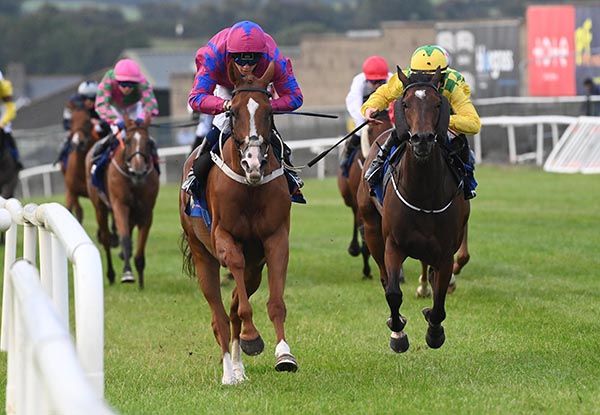 The white-faced Tounsivator reverts to the Flat in good style