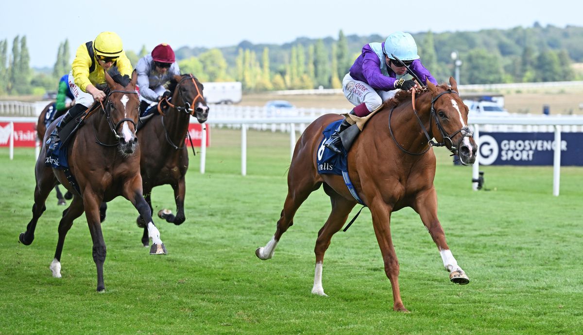 Venetian Prince (right)