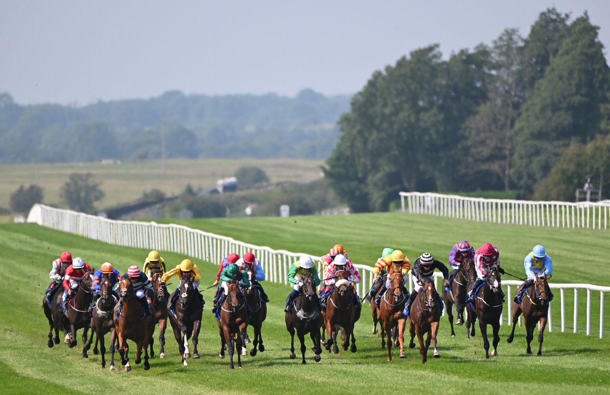 Curragh 16-August-2025Flat Race Action from The Kildare venue.Healy Racing