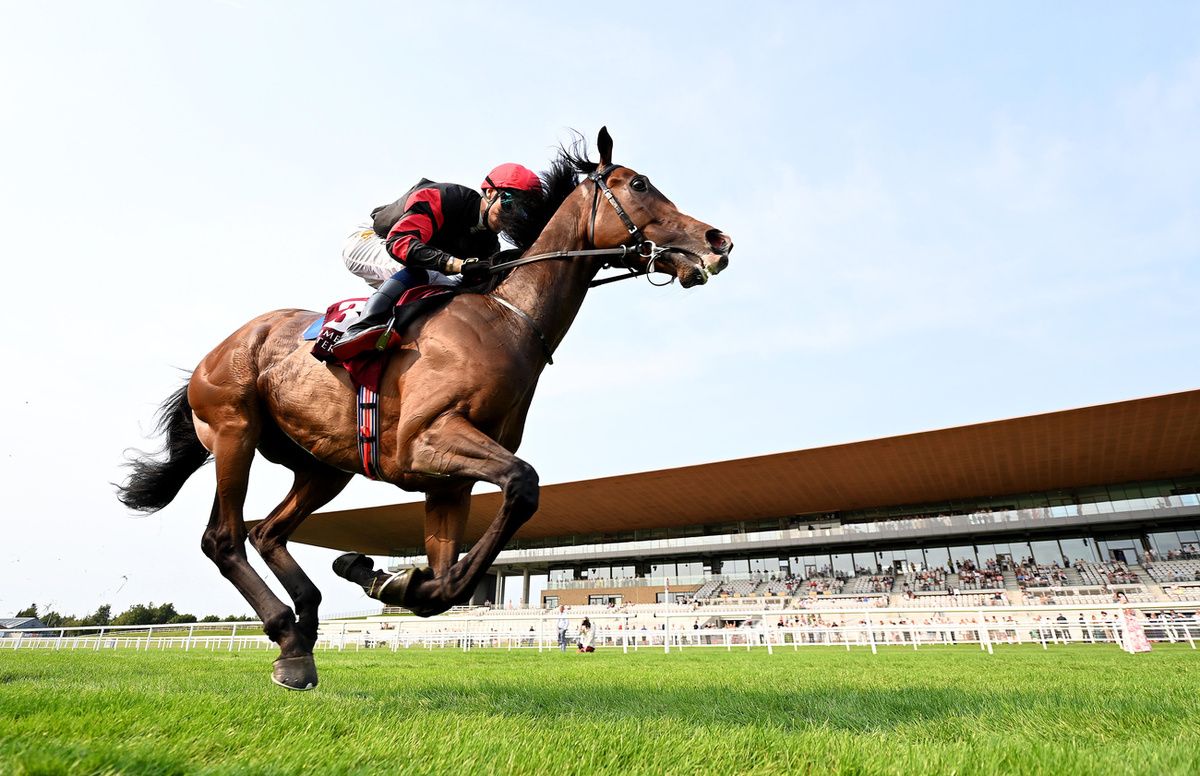 Curragh 16-August-2025Leinster and Dylan Browne McMonagle win for trainer Joseph O'Brien.Healy Racing