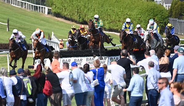 The grey Surviving Murmansk (right) and Harry Sexton