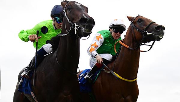 Check This Out (right) with Giovannu Giorgio