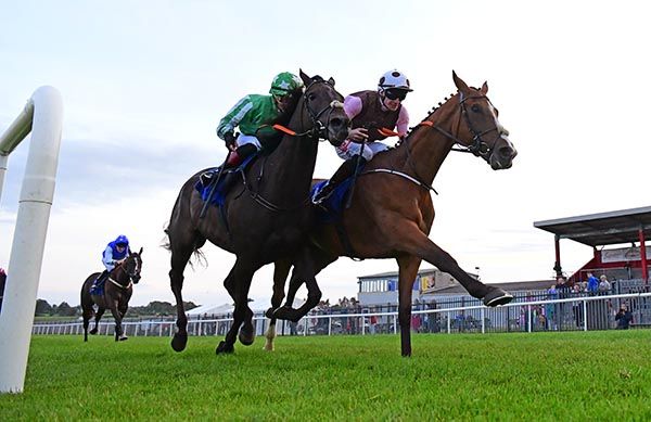 Roscommon 19-8-25  Kool One & James Ryan (Pink Sleeves) win the Campbell's Bar Ballinlough Handicap(Photo HEALY RACING)