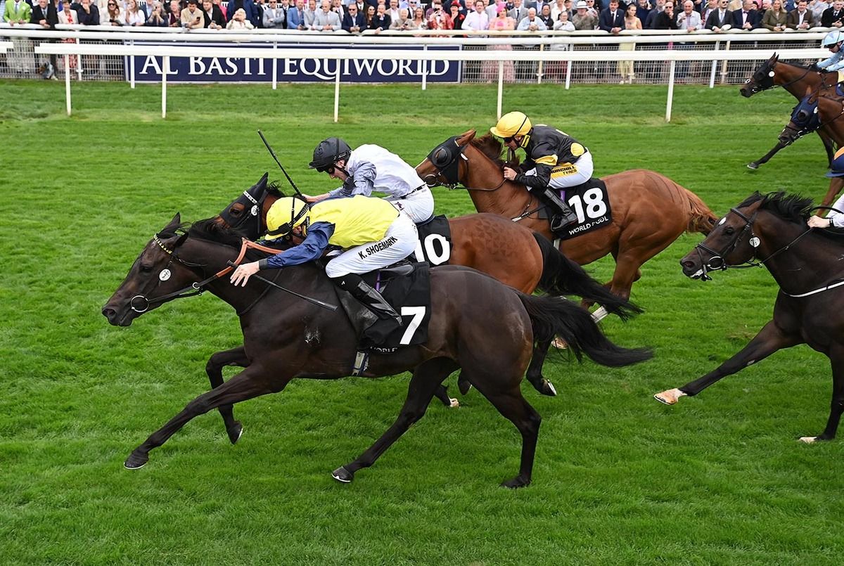 Trefor and Kieran Shoemark (nearest) touch off The Man  