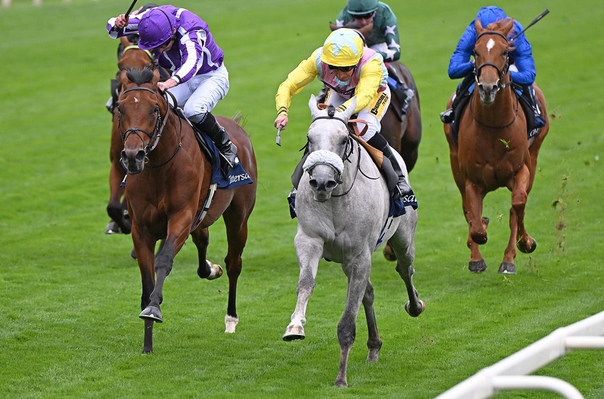 The grey Gewan under PJ McDonald holds off Italy