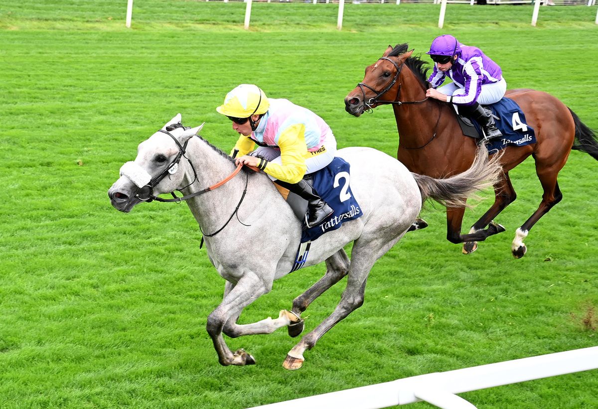 Gewan and PJ McDonald