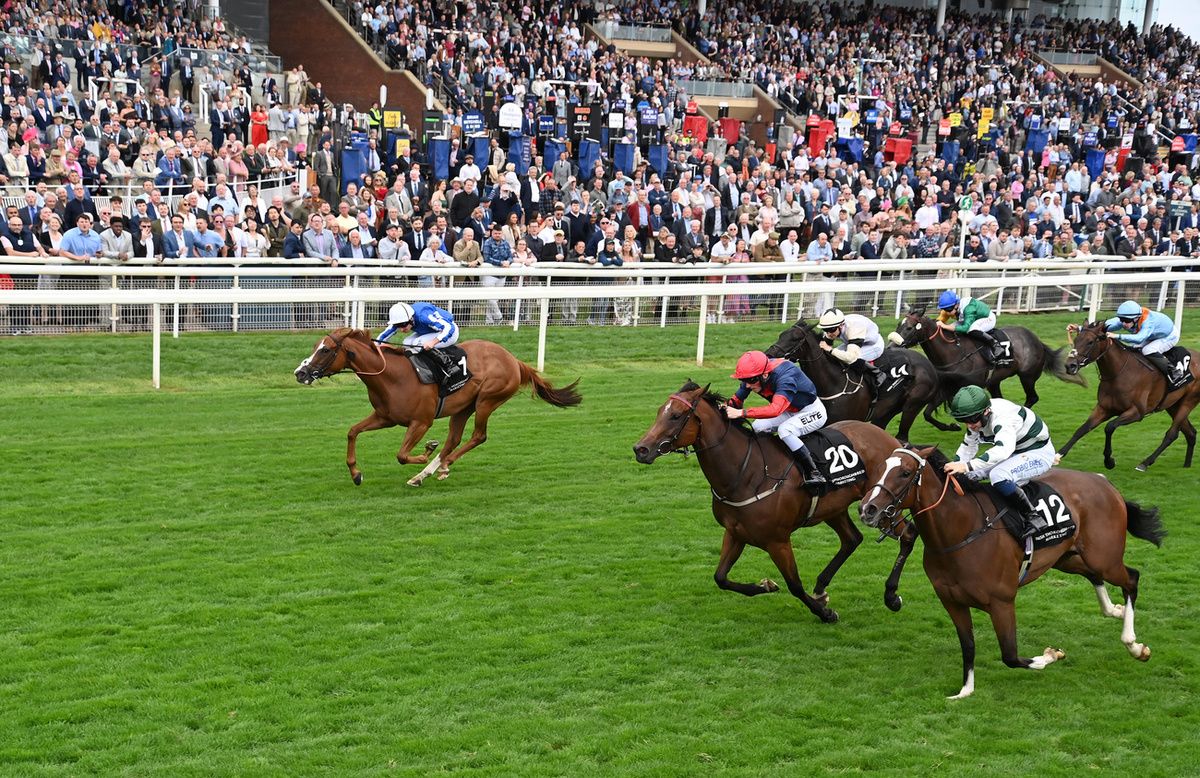 Luna A Inbhir Nis (no. 12) finishing a close third at York