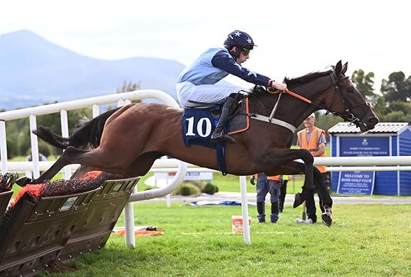 Wonderfulwonderful clears the last