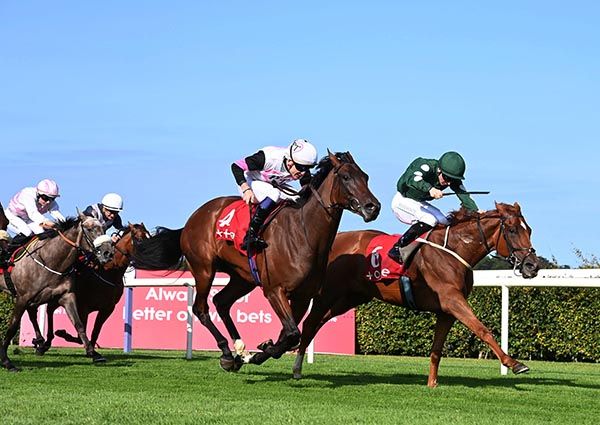 Smexy, green cap, shades Josh's Joy