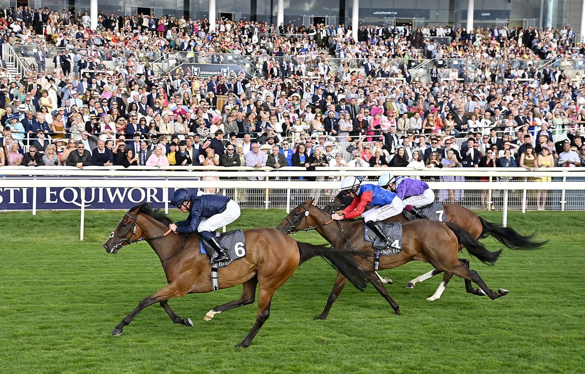 Royal Velvet booked her Royal Ascot ticket 