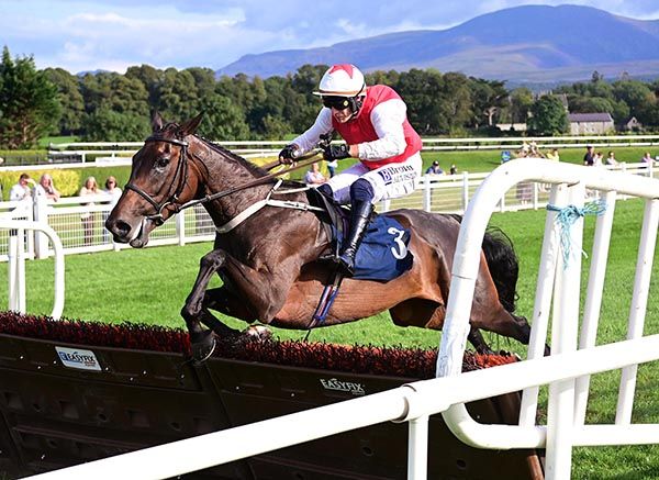 Keep Up (Paul Townend up) reaches for the final flight