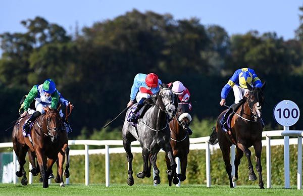 Altimara, blue and yellow, scores by a short head