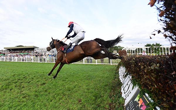 A Nod To Getaway on his way to victory