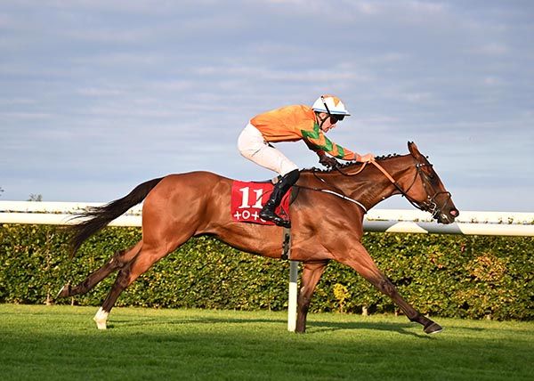 Nakasero and Adam Grant 