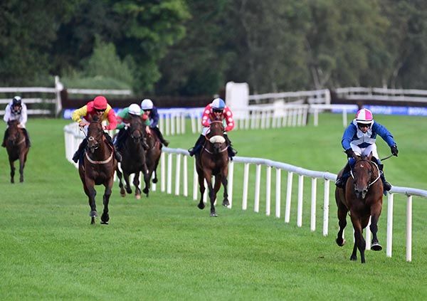 Parnell Street in cruise control