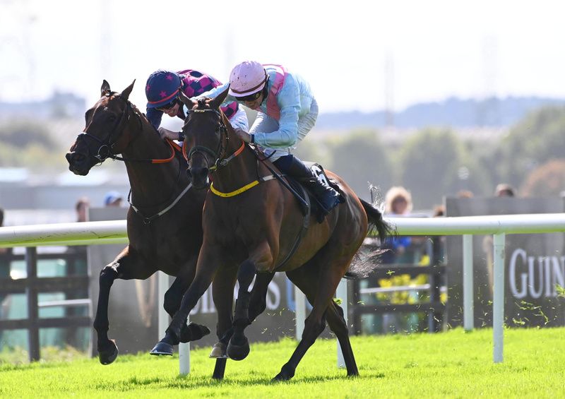 Helvic Dream (near side) and Ndaawi battle it out at Galway