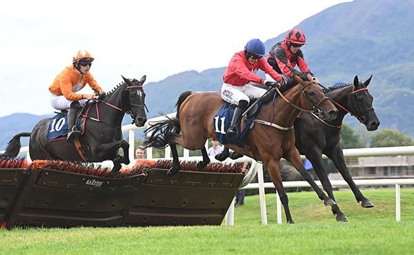 Ballinoe Blaze and Gary Noonan. 