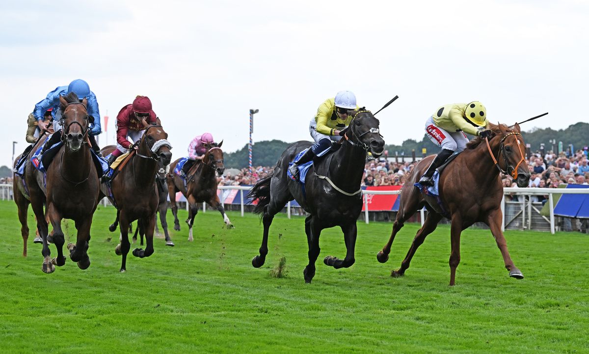 King Of Cities and Sean Levey