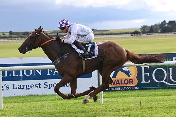 Slaney Drive and Declan McDonogh 