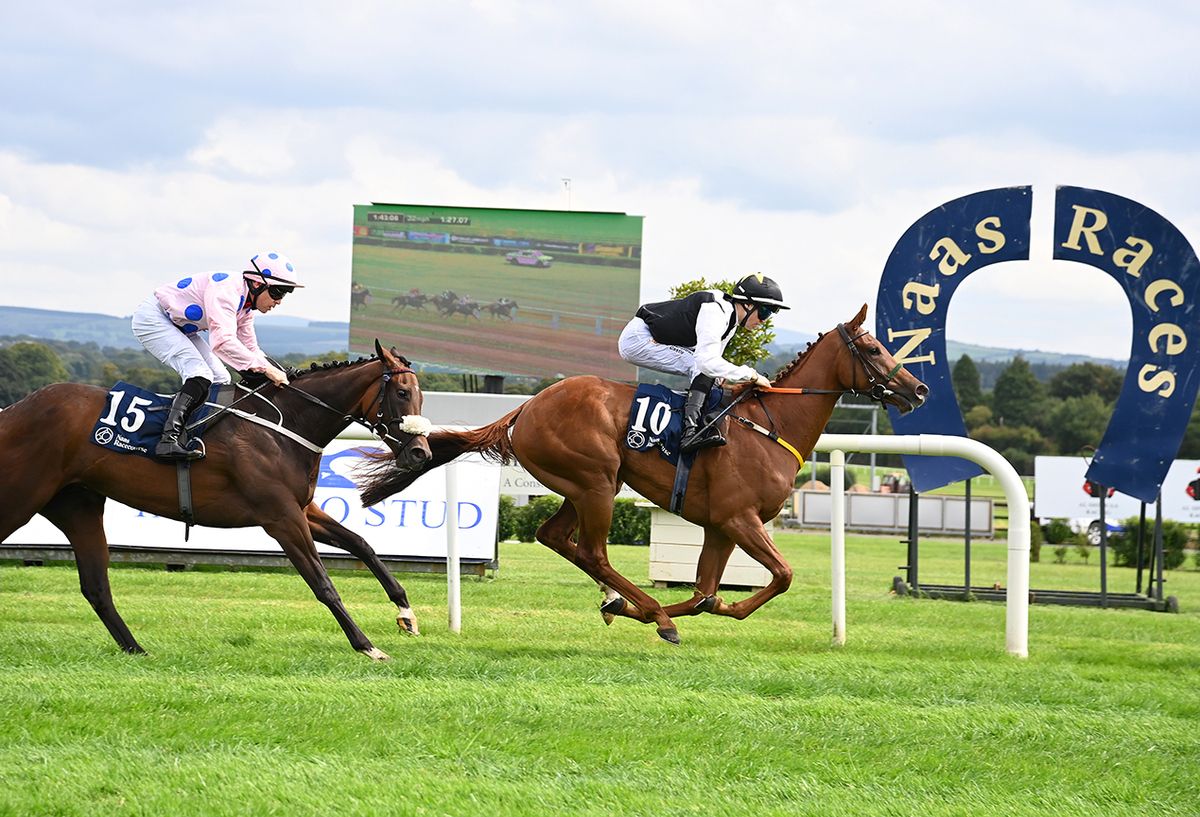 Caught U Sleeping and Dylan Browne McMonagle win for owner Anthony Clarke