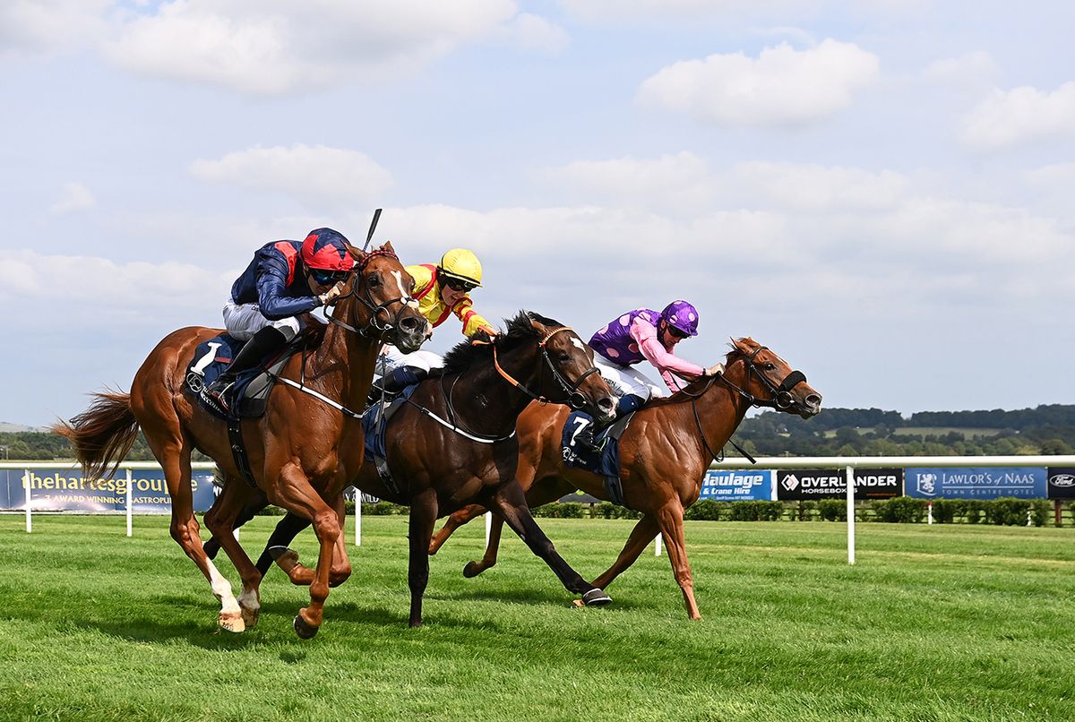 Fresh Fade (near side) and Dylan Browne McMonagle win for trainer Michael O Callaghan
