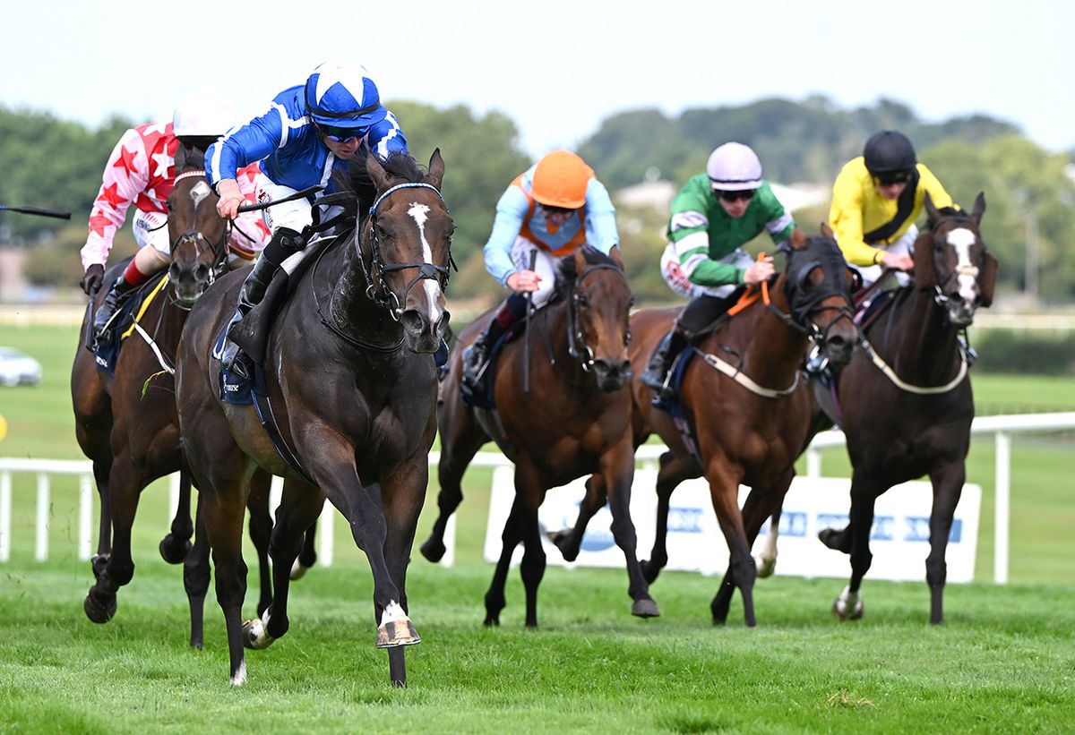 Sky Majesty and Tom Marquand win for owners Tony Bloom and Ian McAleavy 