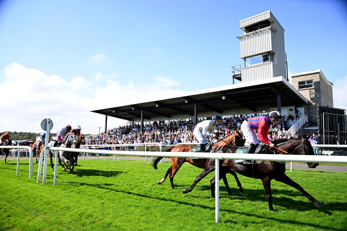 Downpatrick racecourse