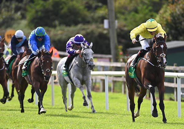 Touted Plan and Colin Keane 