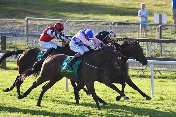 Escaping Thejungle and Colin Keane (black) beat Fair Taxes (nearest)