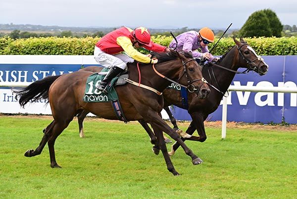 Share The Treasure and Wesley Joyce (near side)