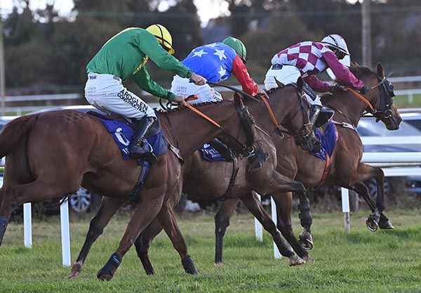 Stone Forest leads home his rivals under John Shinnick