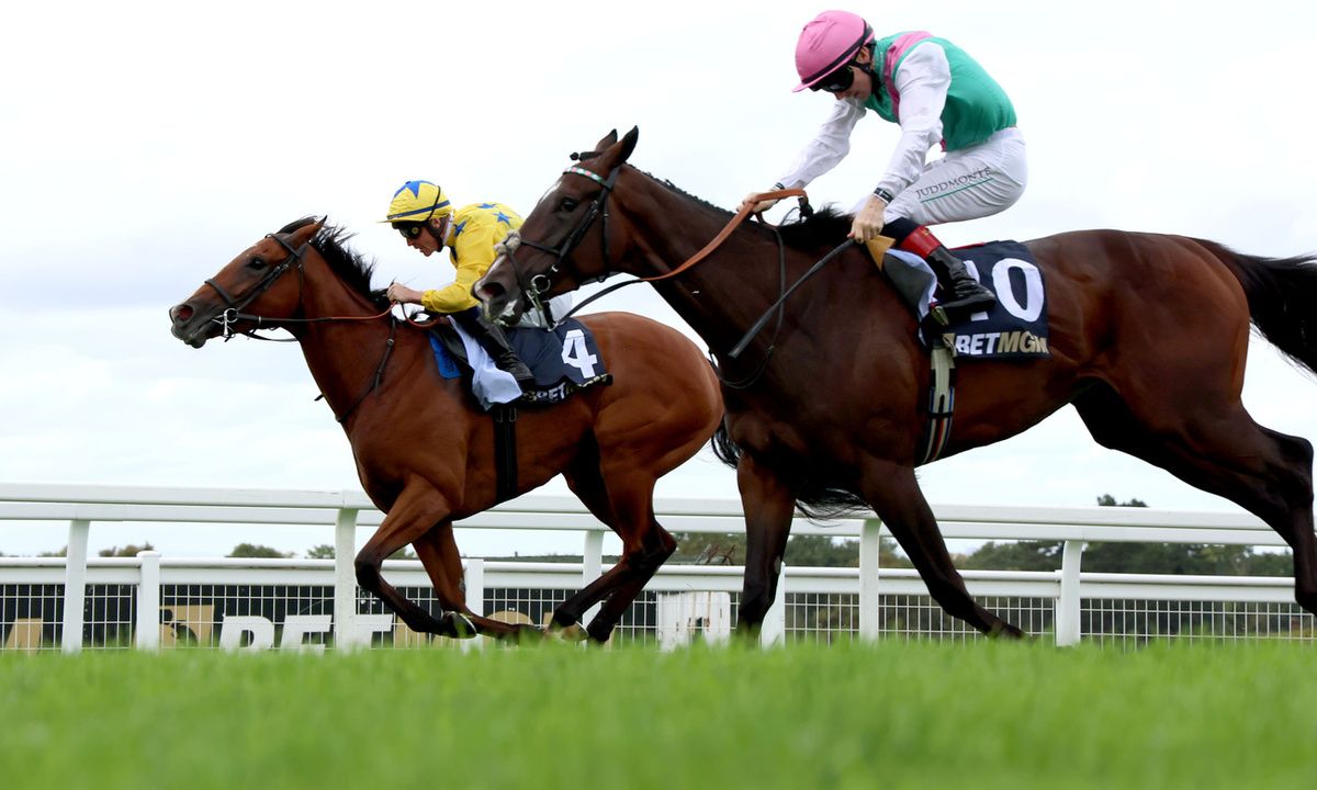 Lady Of Spain (yellow)  winning at Sandown