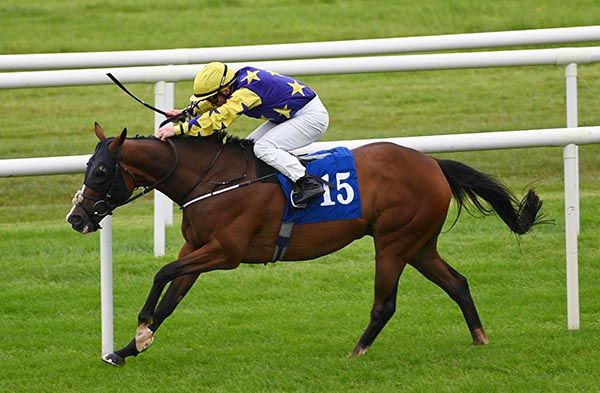 Earls heads for home under Gary Carroll