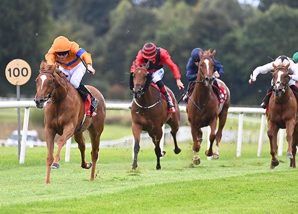 Kensington Lane and Gavin Ryan