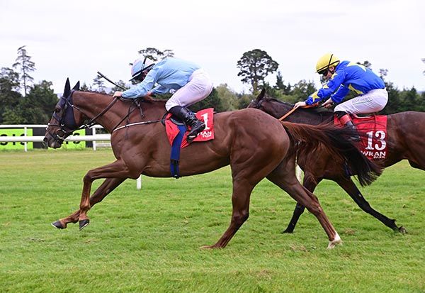 Ballysax Hank and Gary Carroll