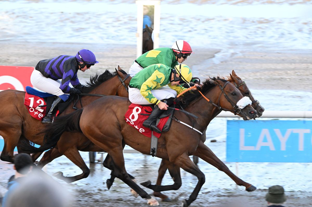 Exquisite Acclaim (nearside) winning at Laytown