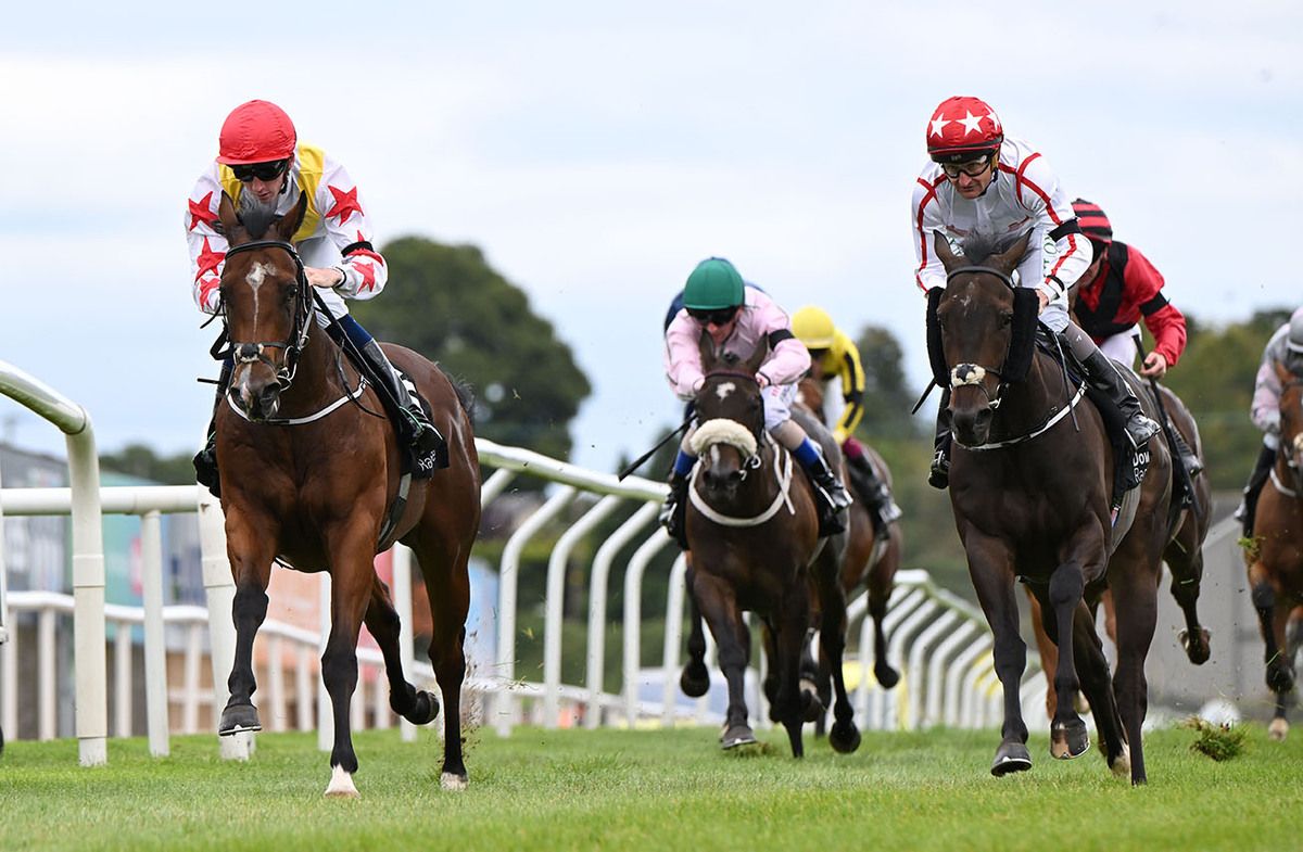 Killourney Reigns (left) leads home Baker Blue