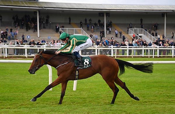  Amicitia and Ben Coen