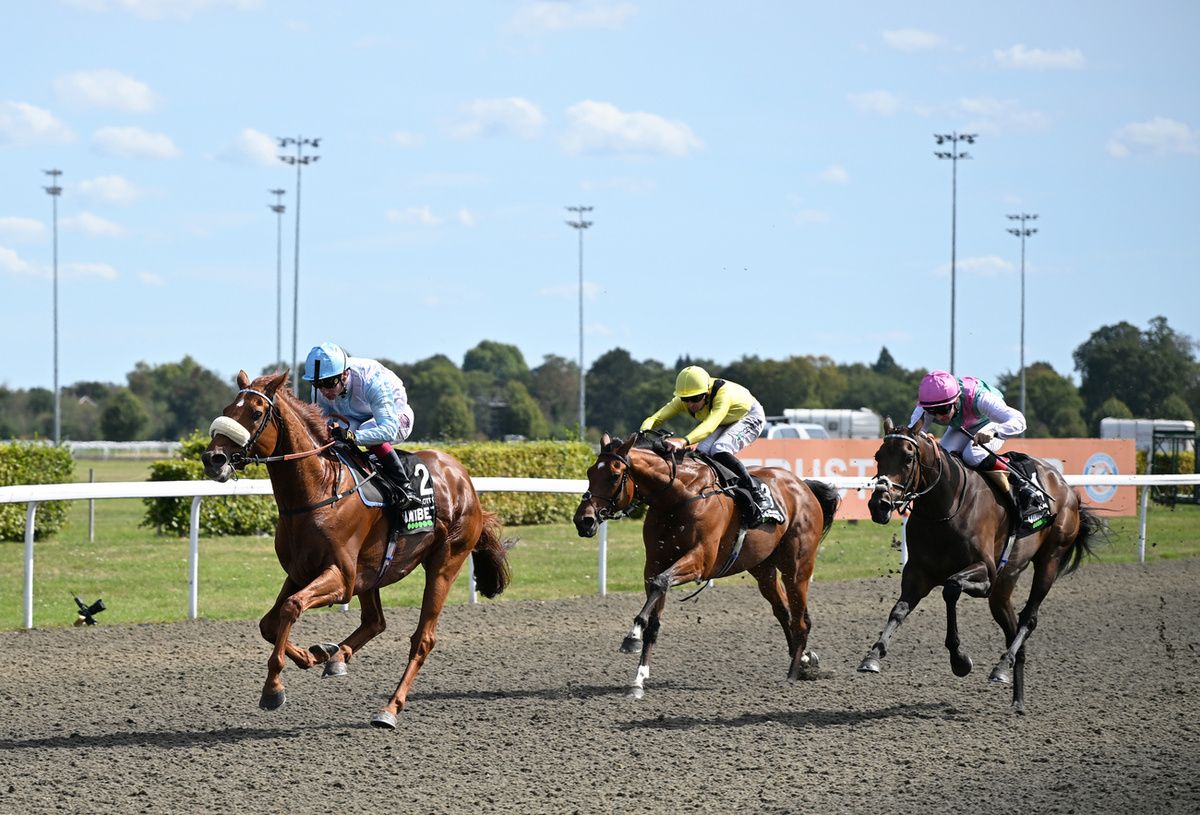 Meydaan finishing third at Kempton last year