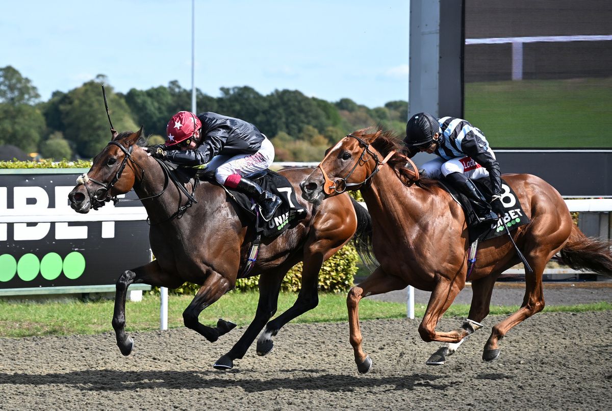 Sky Safari (red cap)