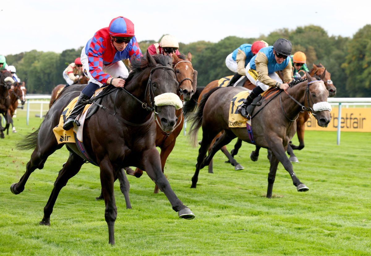 Big Mojo has connections dreaming of Ascot glory 