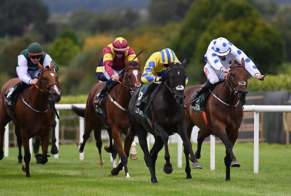 Harseva and Joey Sheridan (yellow and blue)
